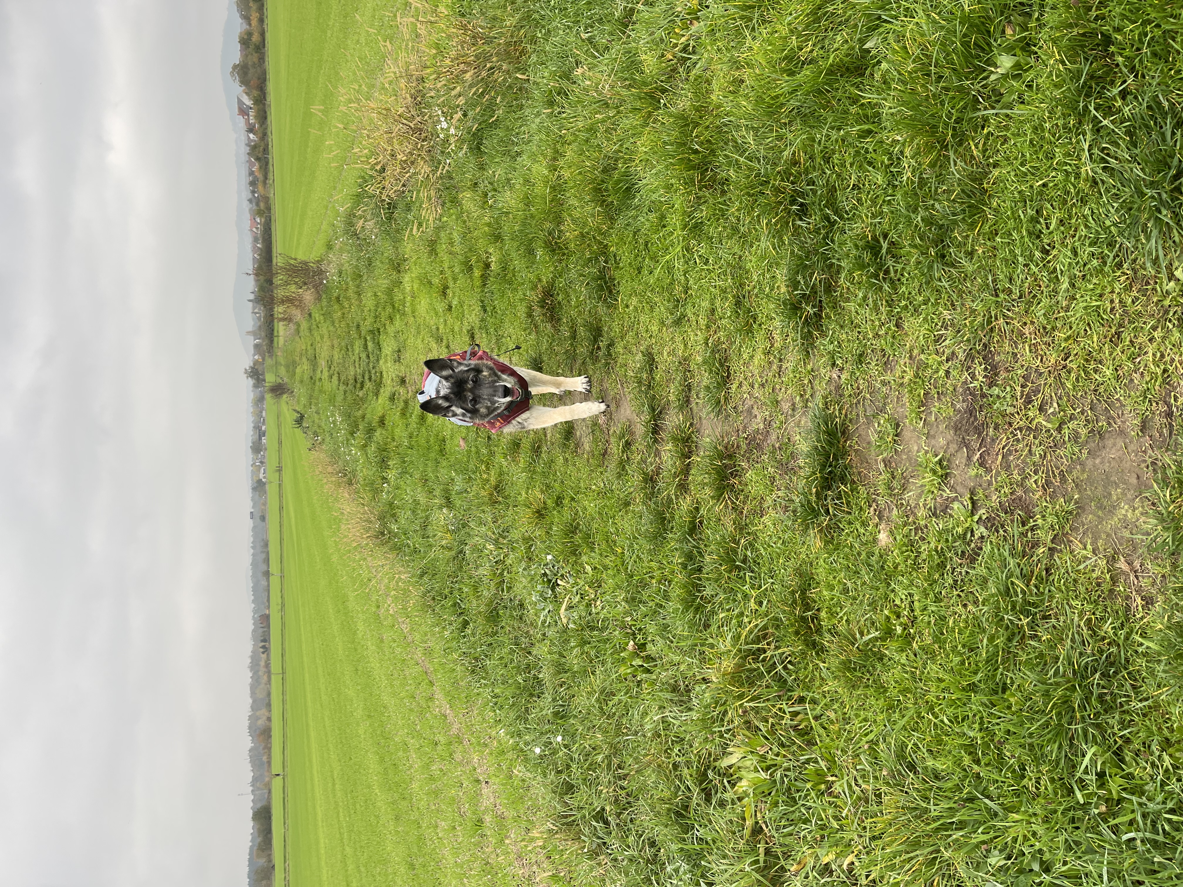 𓃦𝕃𝕚𝕟𝕒𓃦's avatar