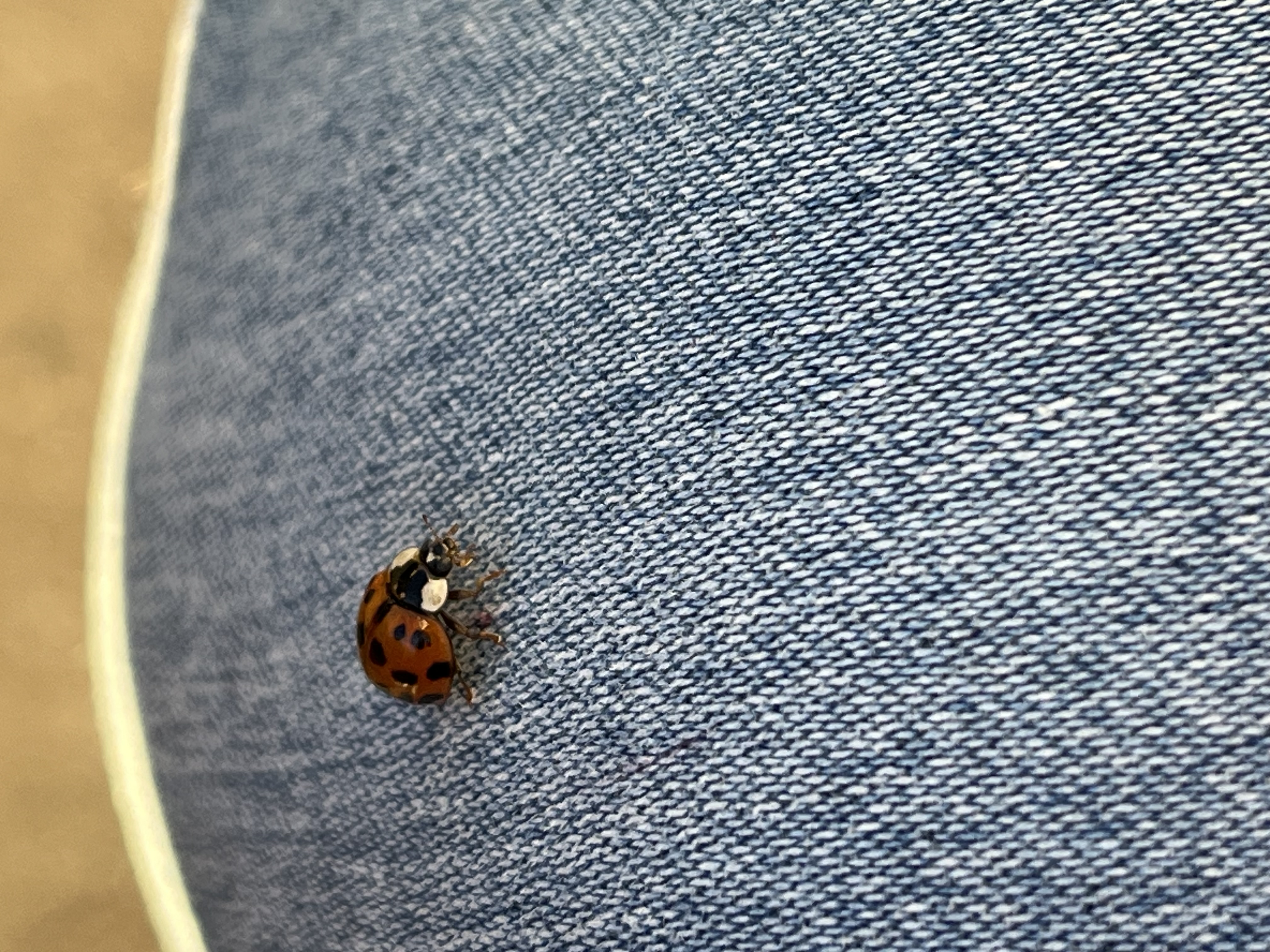 StudyWithMe's avatar