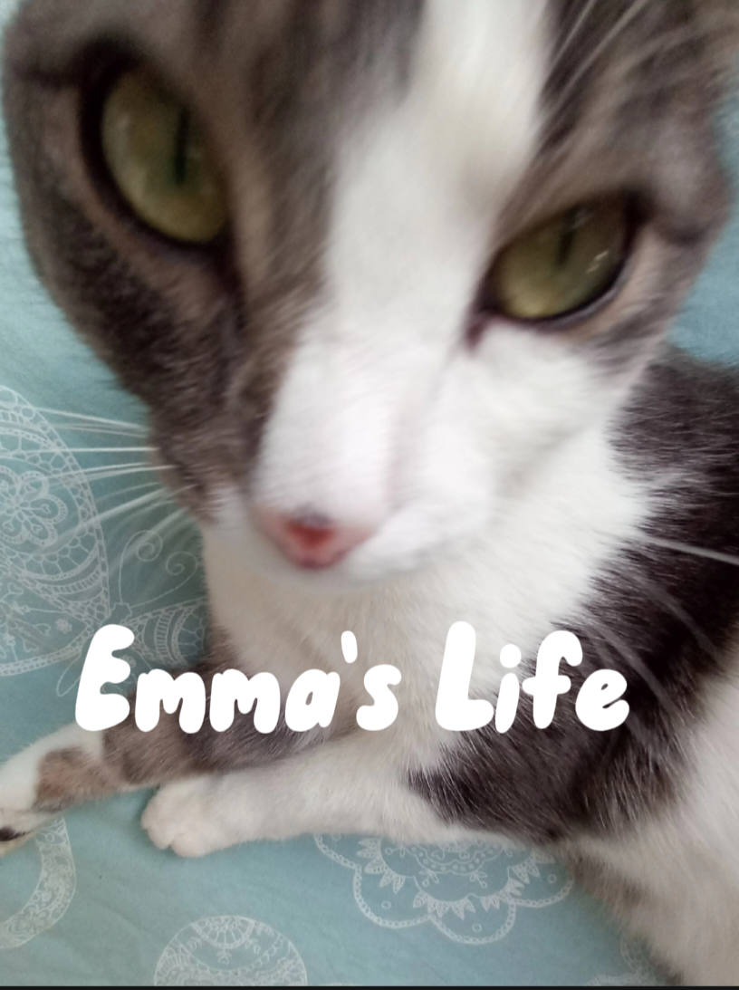 Emma's avatar