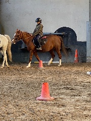 Miadio 🐎❤️'s avatar