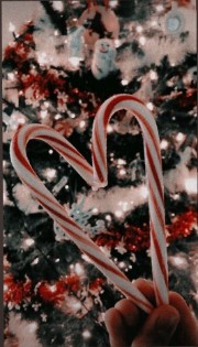 L💜🫶🏻's avatar