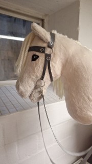 HobbyHorsingByMaja's avatar