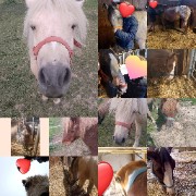 R2 Pol Et Caramel 's avatar