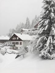 Canaï 💕✨'s avatar