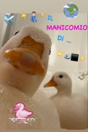 🫃🏻 e 🐦⬛️'s avatar