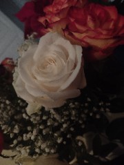 Uneninja🥷🏽🎀's avatar