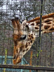 ♡Lifewithme♡'s avatar