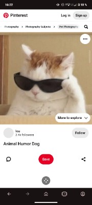 Mia 🔥💦😏🤤's avatar