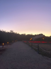 Melina✨♥️💖's avatar