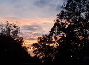 Mia💛🐆's avatar