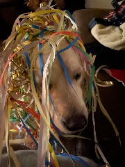 Les besties 💗💕's avatar