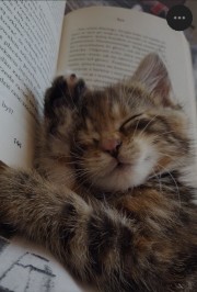 Louise 🎀's avatar