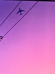 Vanessa Milena und cosi 🤓's avatar