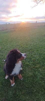 Astrid_le_kk 👺🌝's avatar