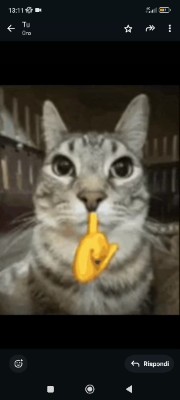 Ochaco Uraraka Channel!'s avatar