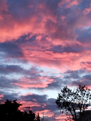 Beaaaa❤️🎾's avatar