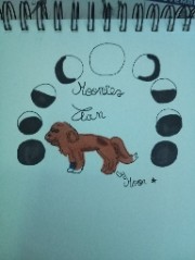 Meiko 🐾🤸🏻💪🏻's avatar