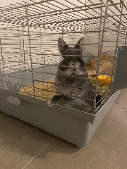 🪿🪿🪿🪿🪿's avatar