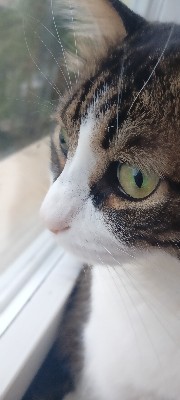 !Anastasia!'s avatar