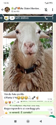 COMPLEANNI & ONOMASTICI's avatar