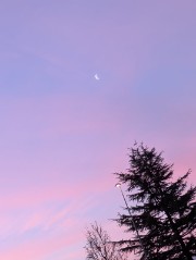 🌸✨🌷's avatar