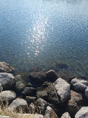 Io✨🫣🍪's avatar