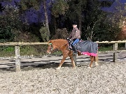 🌺Ceri_zalé🌺's avatar