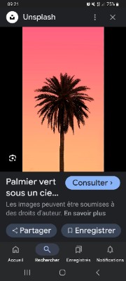 May ( les petits palmiers)'s avatar