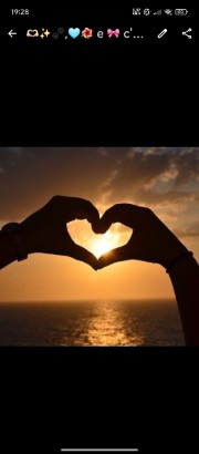 🫶🏻✨🐾's avatar