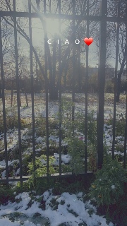 ✨Aïcha✨'s avatar