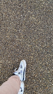 Reflet de Lune 's avatar