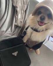 M.Scofield 's avatar