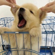 ʟᴇ ᴛʀᴇ ᴍᴀᴛᴛᴇ's avatar