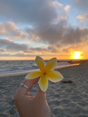 Just_sofia💍's avatar