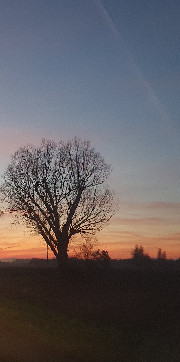 Brocken Girl's avatar