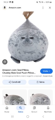 Im a just foca 's avatar