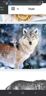 Colyne 🍃🐾's avatar