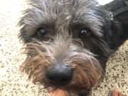 Petrinaaaaaaa's avatar