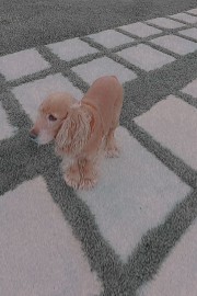 Nanouche💫's avatar