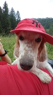 costy✨️'s avatar