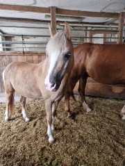 Kht_June💜's avatar