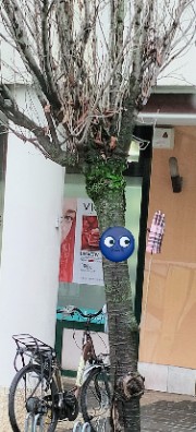 Girl of books🌝's avatar