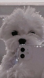 ℛ𝒾𝓉𝒶𝓰.'s avatar