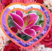 Miss panda 🌿's avatar