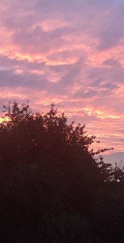 🎀 Une Fille 🎀's avatar