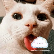 ReflexionesExpress's avatar