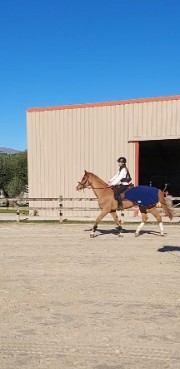 Cavalières au top's avatar
