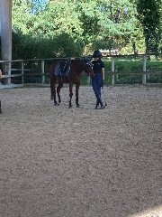 La Life d’une Cavalière 's avatar