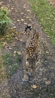 💗💗💗's avatar