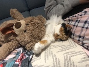 Kiara lainé 🫶🏼's avatar